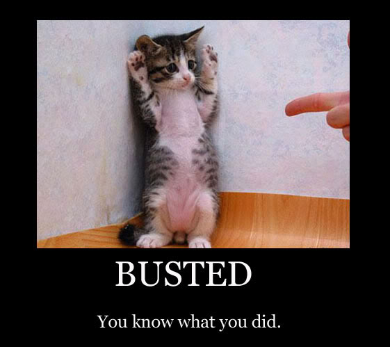 http://www.reho.st/i43.photobucket.com/albums/e395/kenshirokamemeijin/busted.jpg
